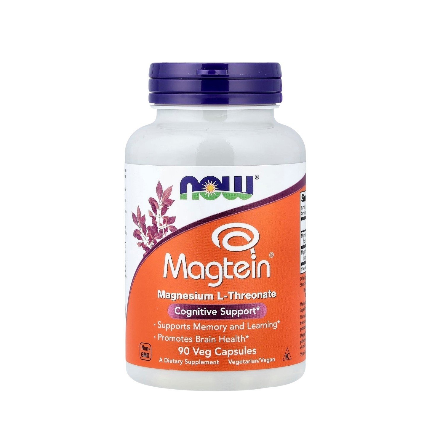 Magtein magnésium L – threonate 90caps